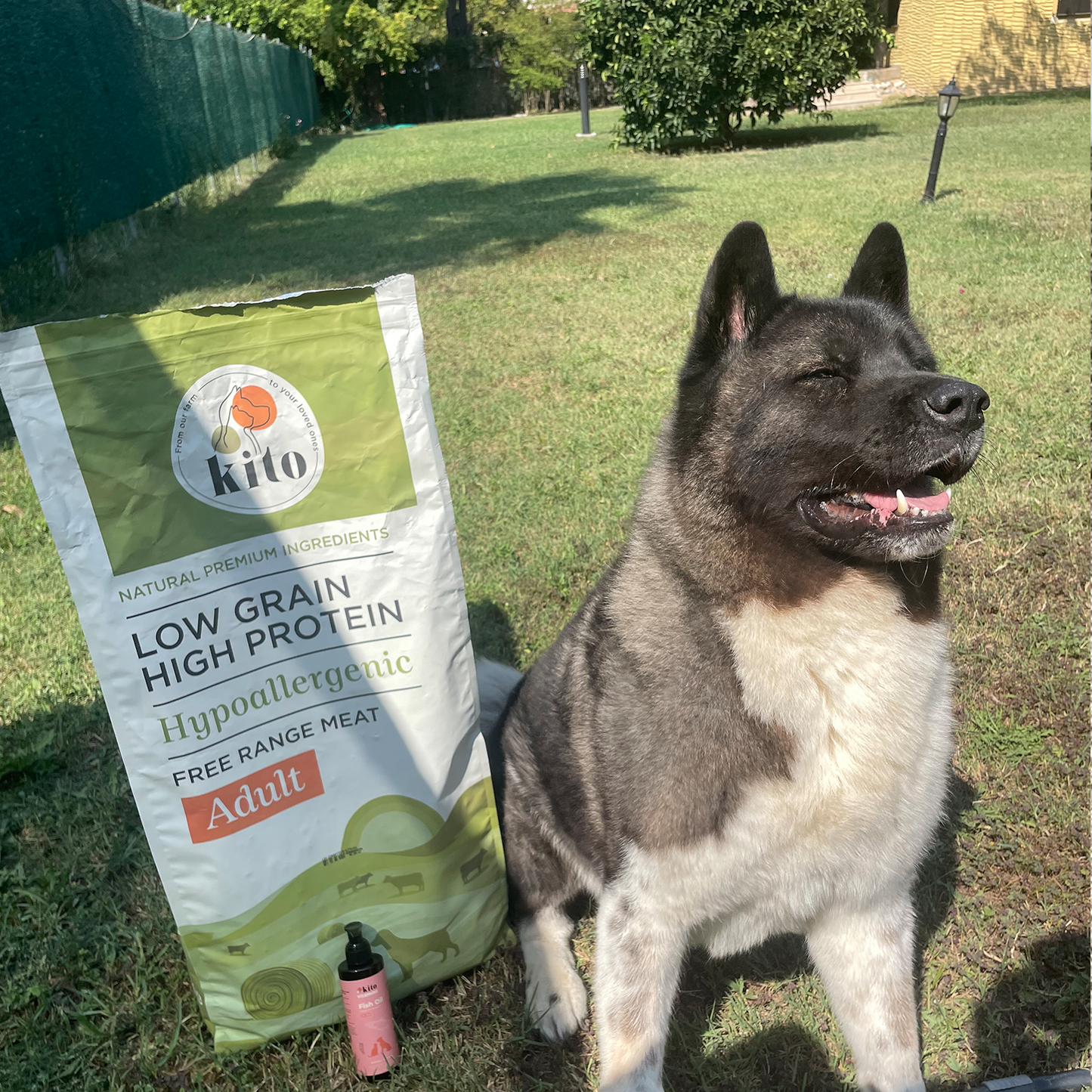 Yetişkin Köpek Maması