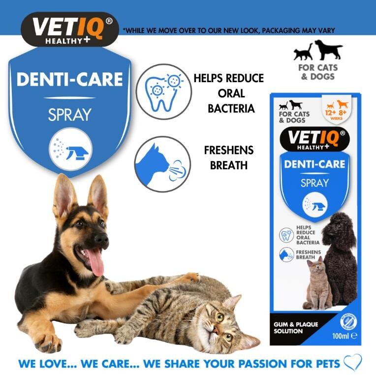 Vet Iq 2in1 Gum Shield Kedi Köpek Ağız Ve Diş Bakım Spreyi 100 ML  | SRC: Barcode: 750826005979