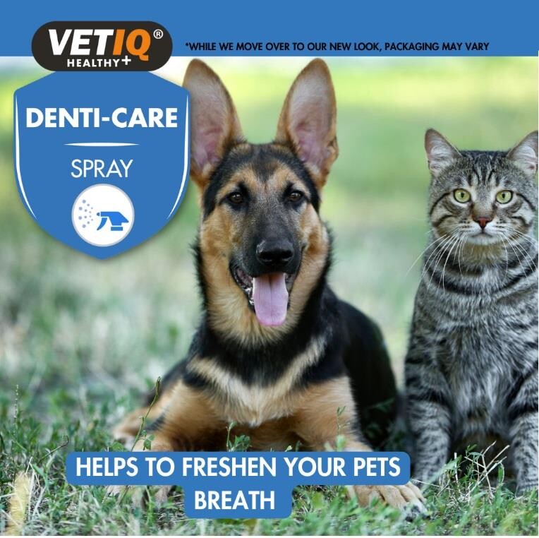 Vet Iq 2in1 Gum Shield Kedi Köpek Ağız Ve Diş Bakım Spreyi 100 ML  | SRC: Barcode: 750826005979