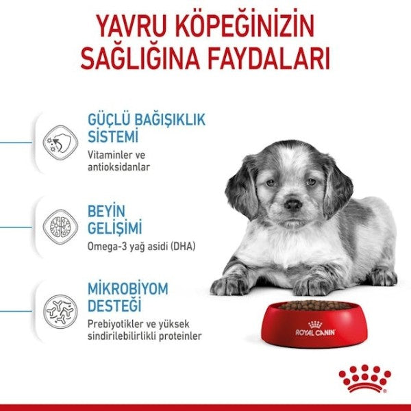 Royal Canin Medium Puppy Yavru Köpek Maması