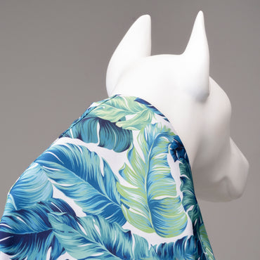 Lindo Dogs Aqua Kapüşonlu Su Geçirmez Köpek Yağmurluğu