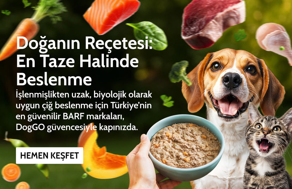 Köpek BARF çiğ mama koleksiyonu — BarfX, PetBurger, PetChef, DogGO Shop