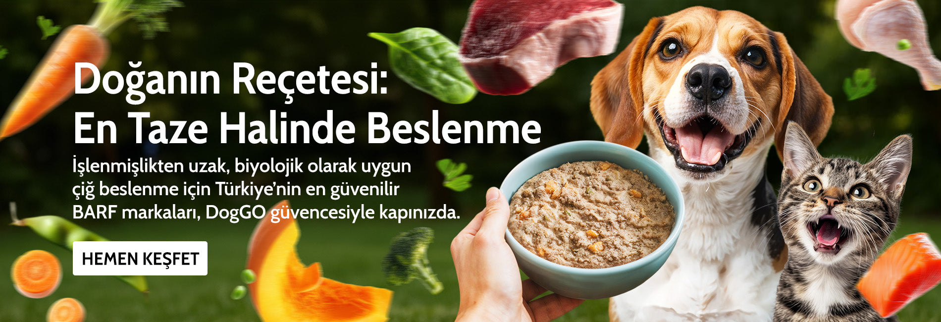 Köpek BARF çiğ mama koleksiyonu — BarfX, PetBurger, PetChef, DogGO Shop