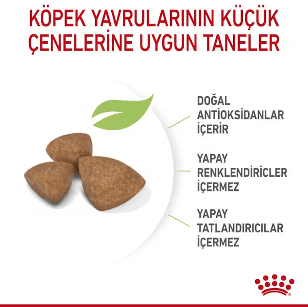 Royal Canin Xsmall Puppy Yavru Köpek Maması