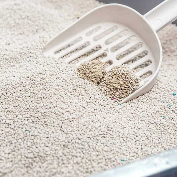 Biokats Bianco Extra Kedi Kumu