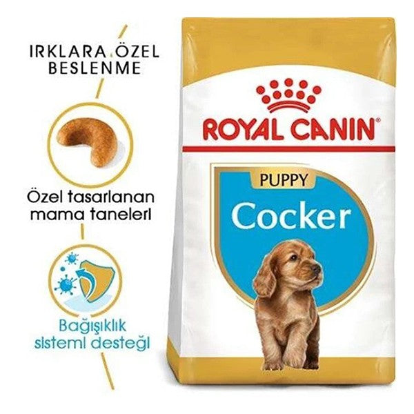 Royal Canin Cocker Junior Yavru Köpek Maması