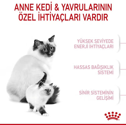 Royal Canin Mother Babycat Anne ve Yavru Kedi Maması