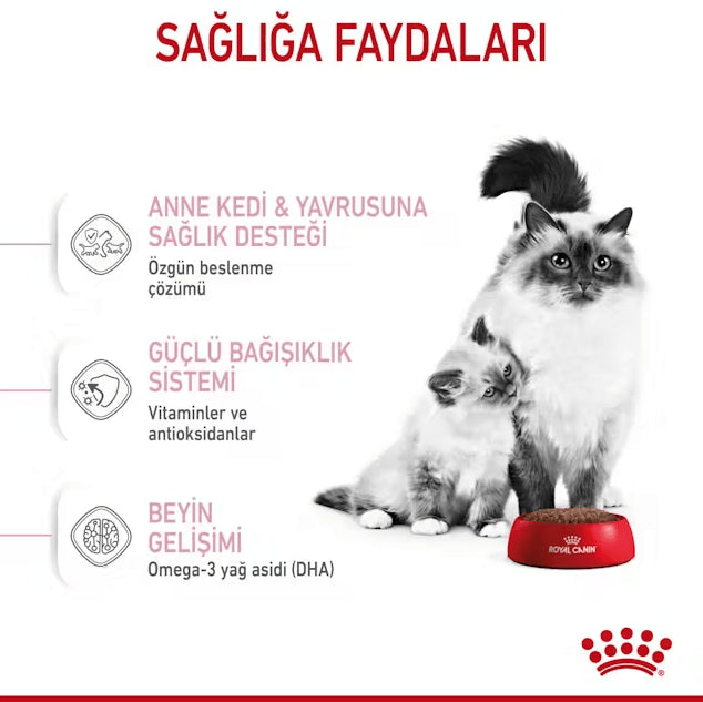 Royal Canin Mother Babycat Anne ve Yavru Kedi Maması