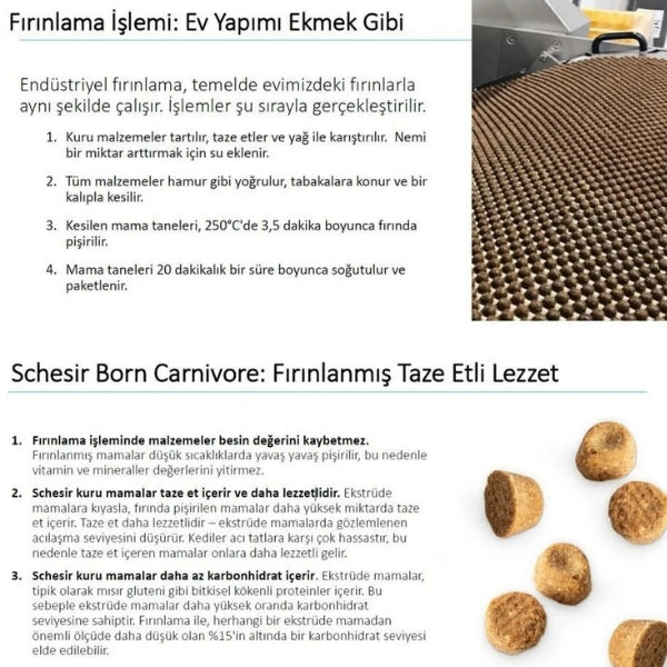 Schesir Born Carnivore Baby Tavuklu ve Yumurtalı Yavru Kedi Maması