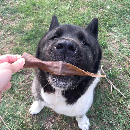 Dana Kelle Derisi Çiğnemelik Köpek Ödül Maması