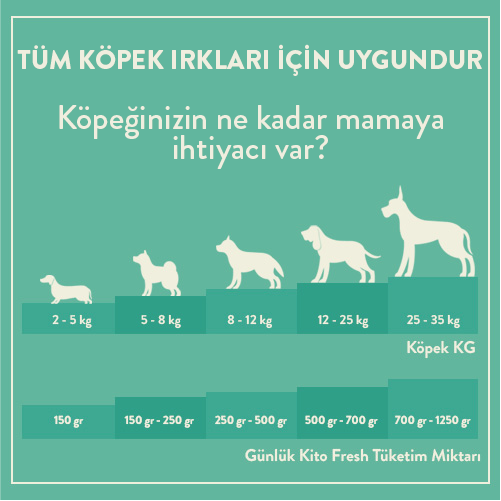 Günlük Kito Fresh Tüketim Miktarı