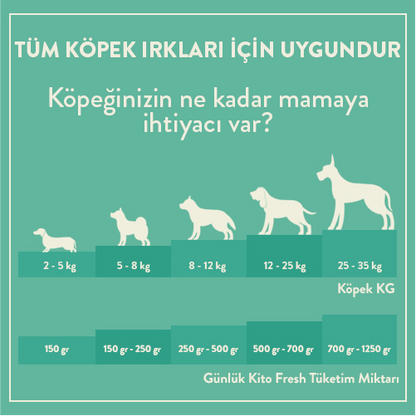 Kito Fresh Levrek Etli Köpek Yemeği