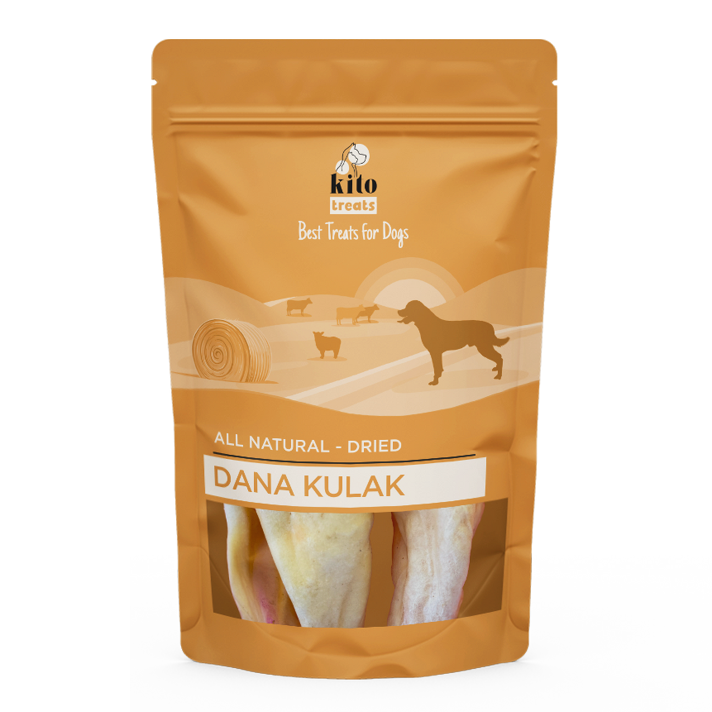 Dana Kulak Ödül Maması