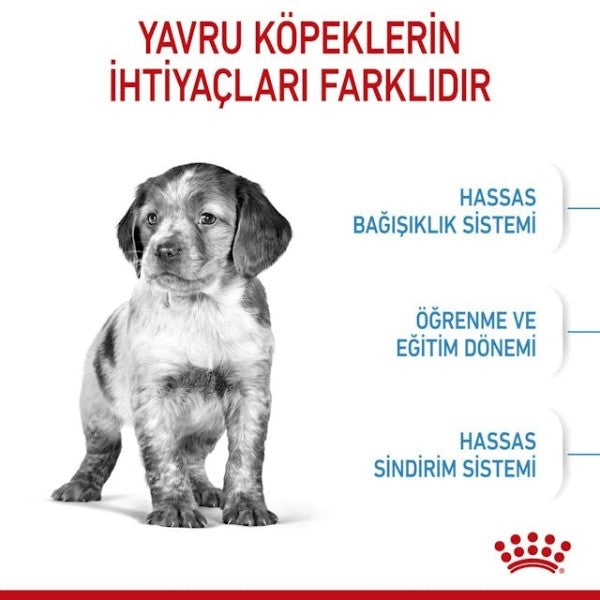 Royal Canin Medium Puppy Yavru Köpek Maması