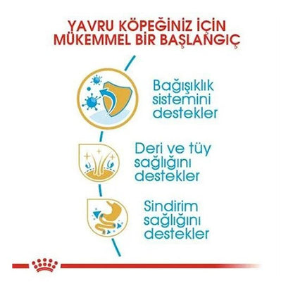 Royal Canin Yorkshire Terrier Junior Yavru Köpek Maması