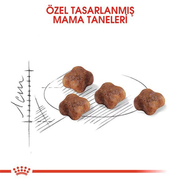 Royal Canin Mother Babycat Anne ve Yavru Kedi Maması
