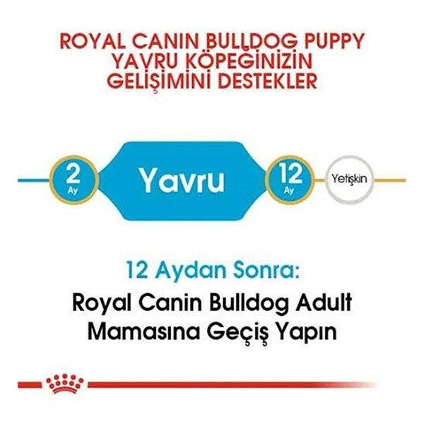 Royal Canin French Bulldog Junior Yavru Köpek Maması