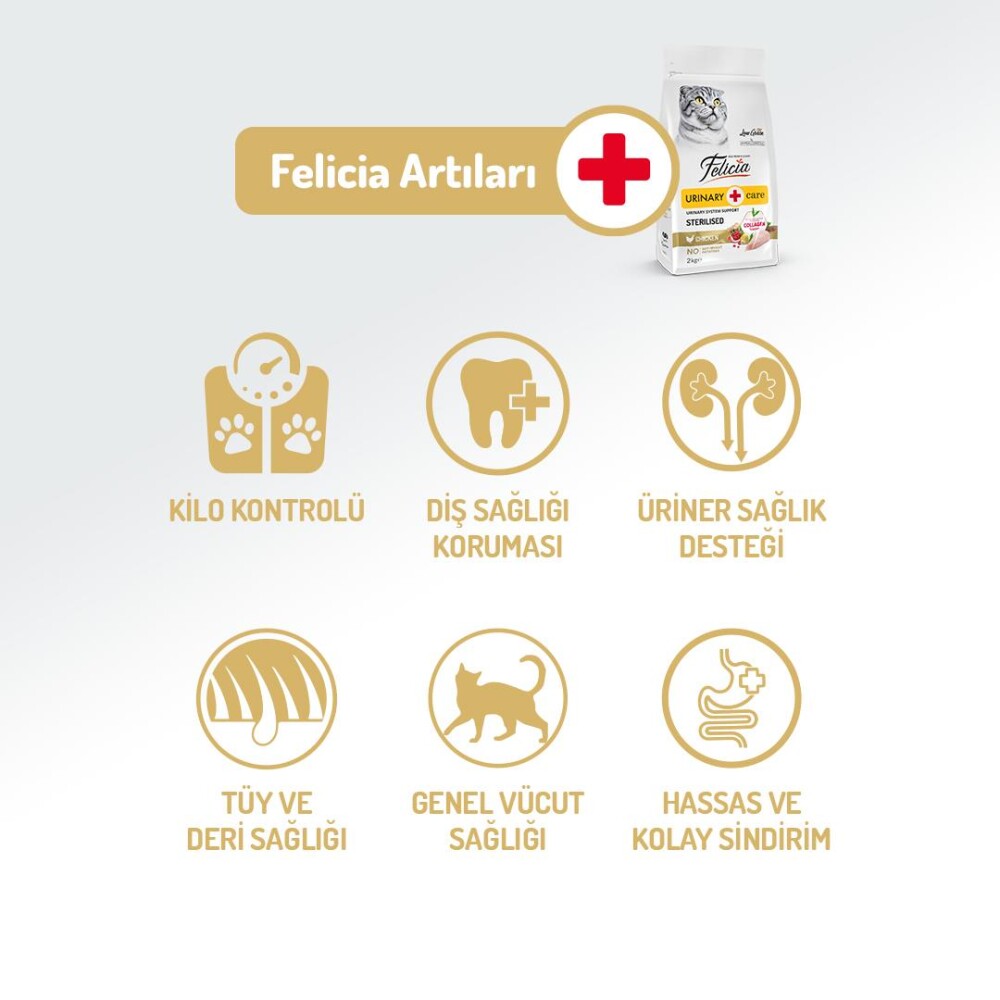 Felicia Düşük Tahıllı Tavuklu Hypoallergenic Kısırlaştırılmış Yetişkin Kedi Maması 2 KG  | SRC: Barcode: 8681299606641