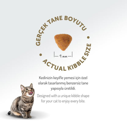 Felicia Düşük Tahıllı Tavuklu Hypoallergenic Kısırlaştırılmış Yetişkin Kedi Maması 2 KG  | SRC: Barcode: 8681299606641