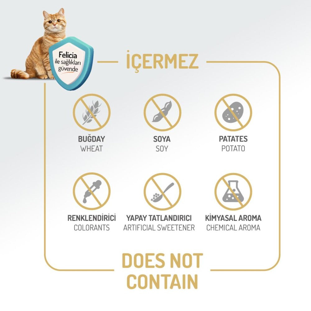 Felicia Kuzu Etli Düşük Tahıllı Yavru Ve Hamile Kedi Maması 2 KG  | SRC: Barcode: 8681299606689
