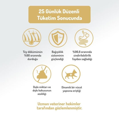 Felicia Mini Somonlu Düşük Tahıllı Hipoalerjenik Köpek Maması 3 KG  | SRC: Barcode: 8681299606610