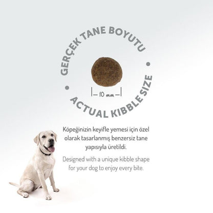 Felicia Mini Somonlu Düşük Tahıllı Hipoalerjenik Köpek Maması 3 KG  | SRC: Barcode: 8681299606610