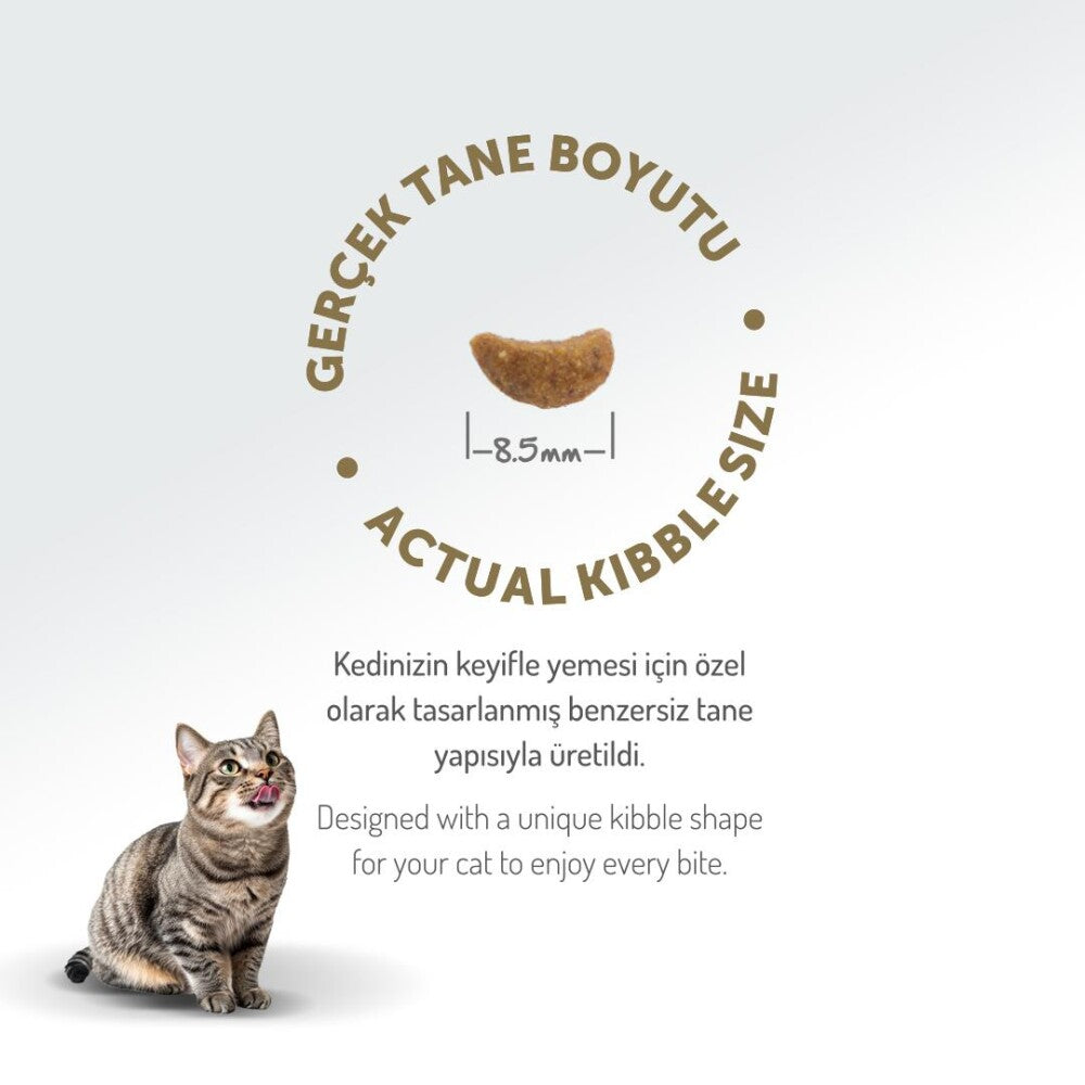 Felicia Kuzu Etli Az Tahıllı Hypoallergenic Yetişkin Kedi Maması 2 KG  | SRC: Barcode: 8681299606665