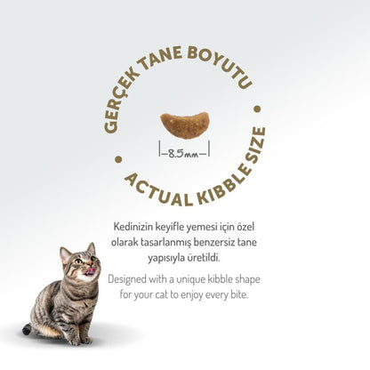 Felicia Kuzu Etli Az Tahıllı Hypoallergenic Yetişkin Kedi Maması 2 KG  | SRC: Barcode: 8681299606665
