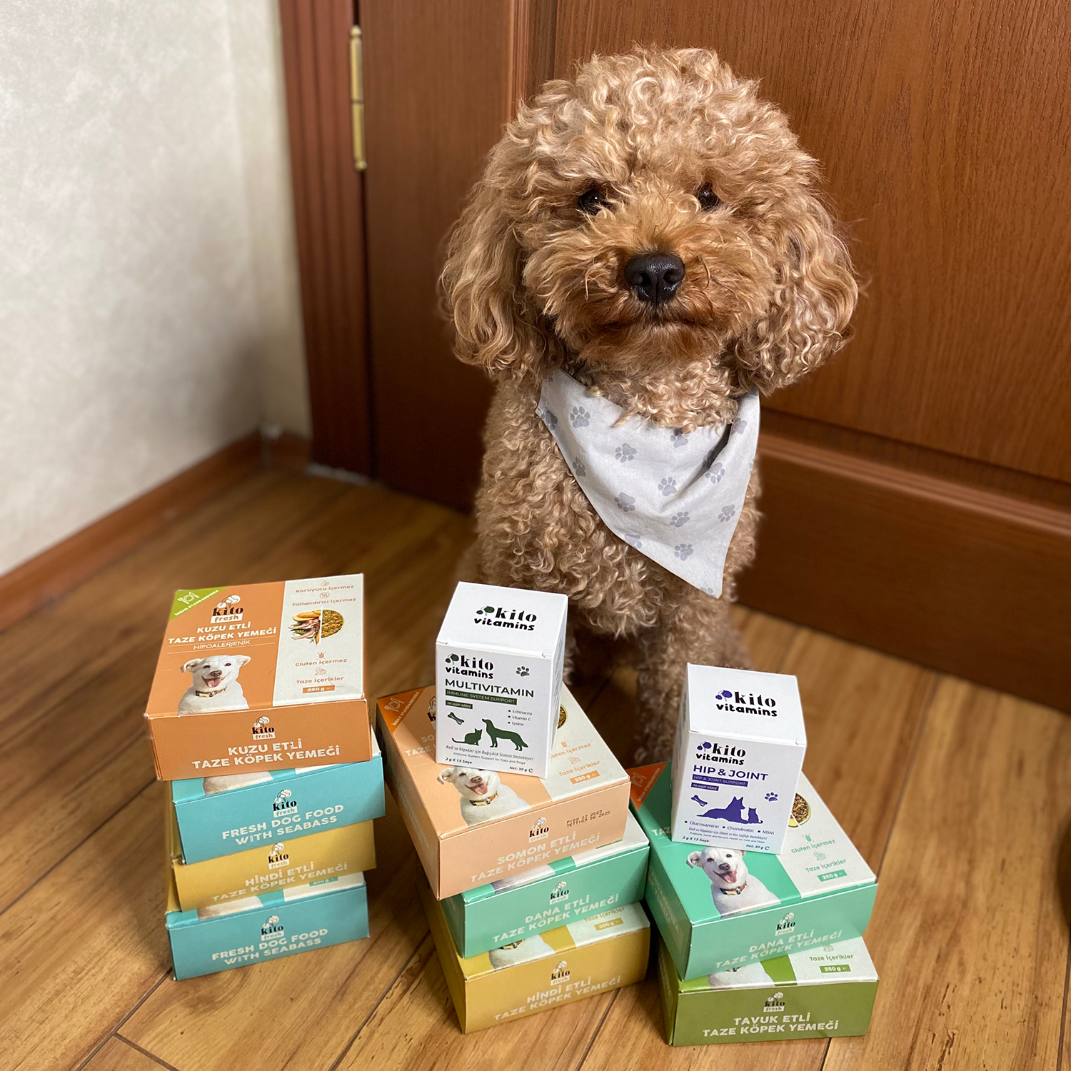 Kuzu Etli Köpek Yemeği