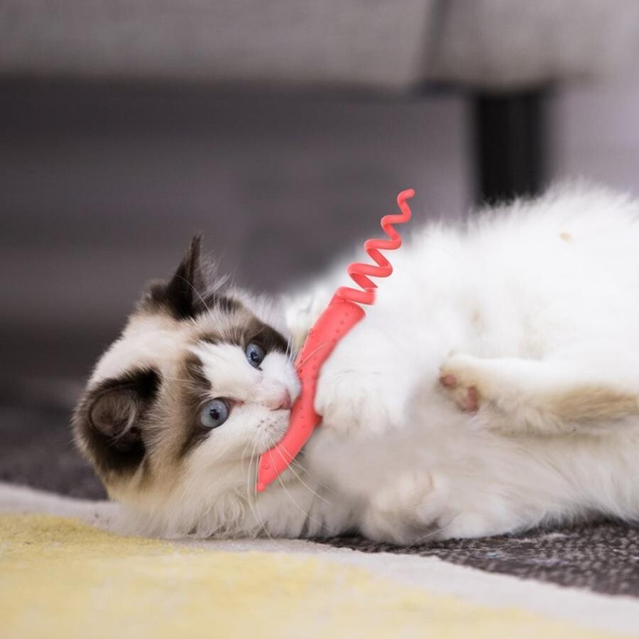 Gigwi Catnipli Fare Model Kedi Oyuncağı TURUNCU  | SRC: Barcode: 846295074766