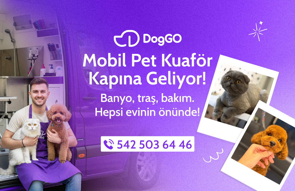 DogGO Mobil Pet Kuaför - DogGO