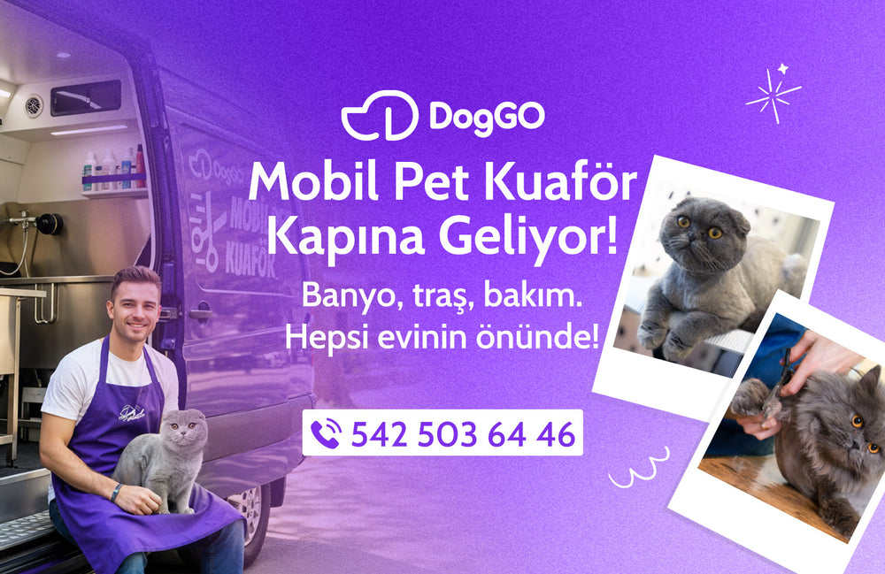 Kedi Mobil Pet Kuaför - DogGO