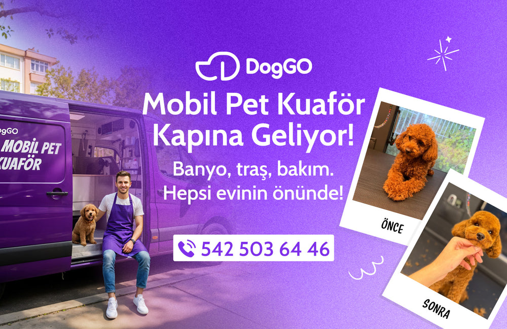 Mobil Köpek Kuaförü