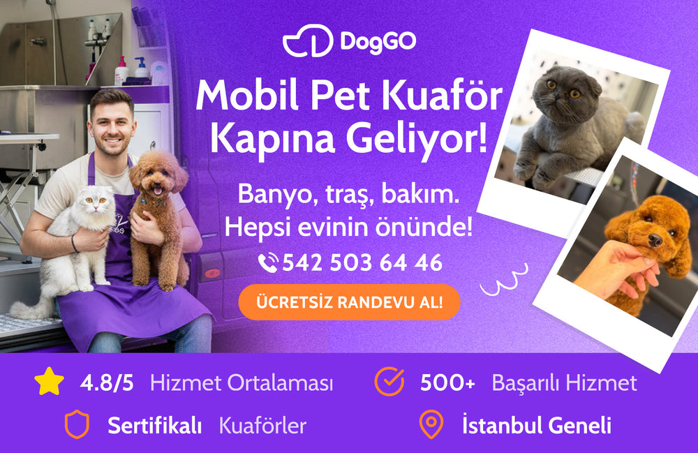 Mobil Pet Kuaförü