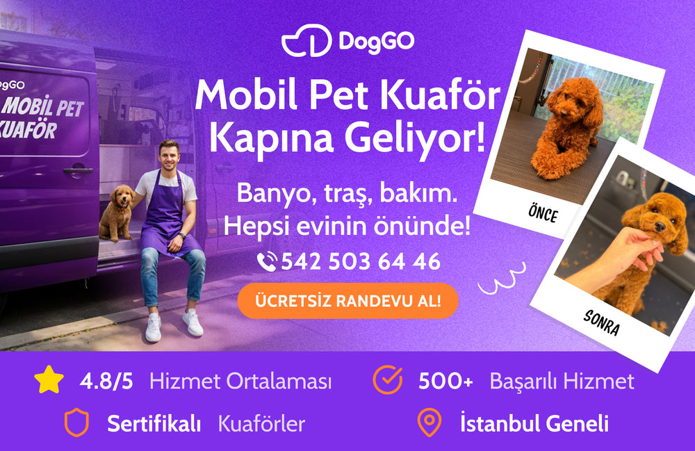 Mobil Köpek Kuaförü