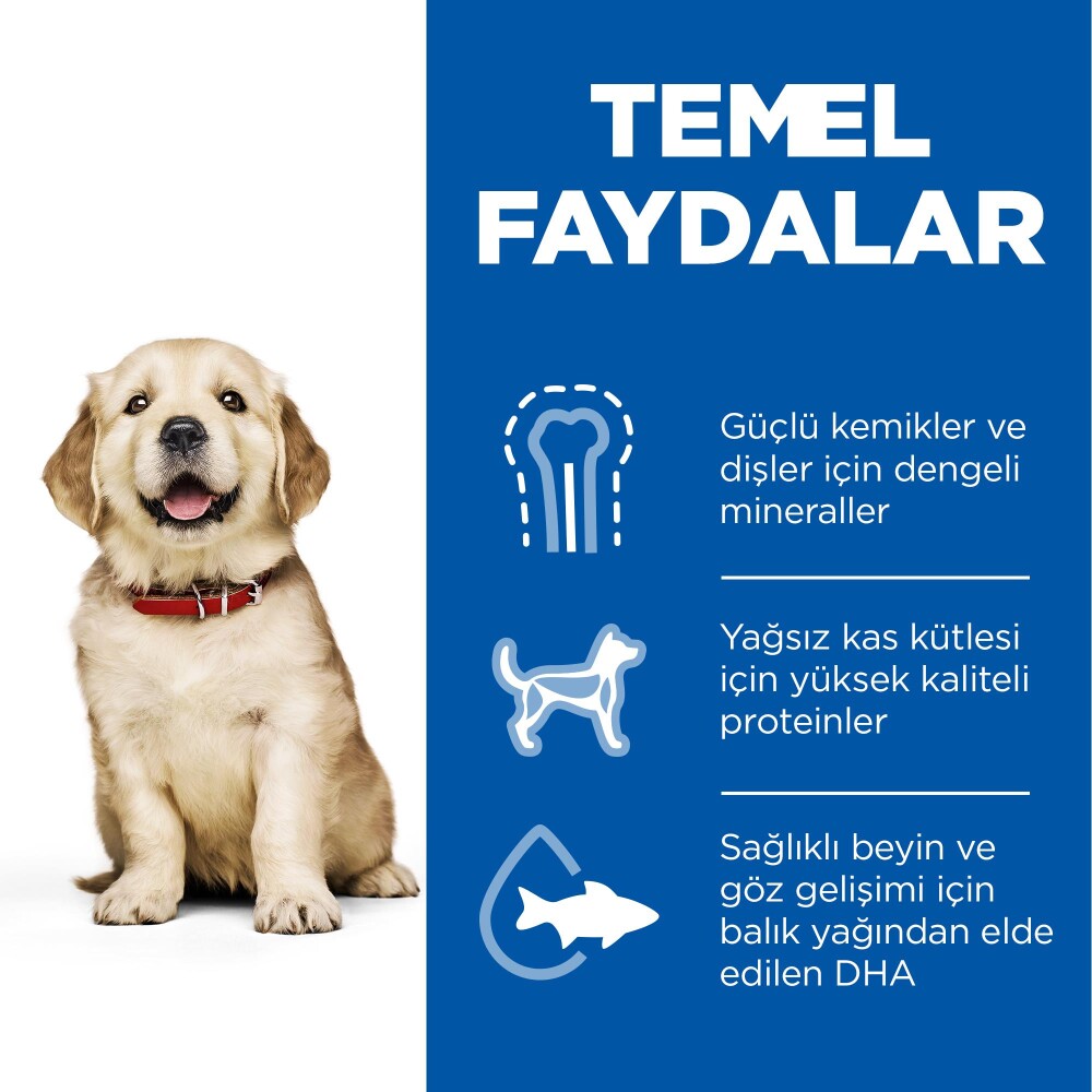 Hill's Science Plan Büyük Irk Tavuklu Yavru Köpek Maması 14.5 KG  | SRC: Barcode: 052742026084