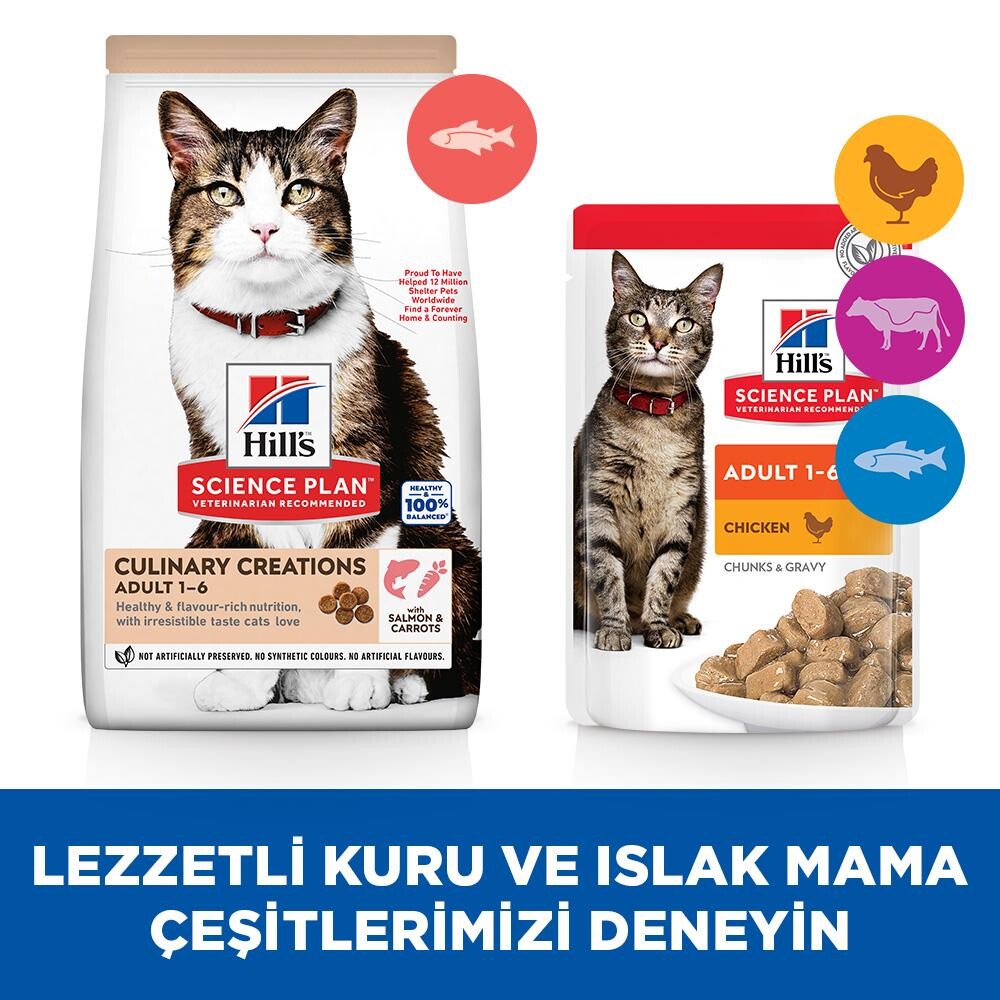Hill's Science Plan Gurme Lezzet Somonlu Ve Havuçlu Yetişkin Kedi Maması 10 KG  | SRC: Barcode: 052742054674
