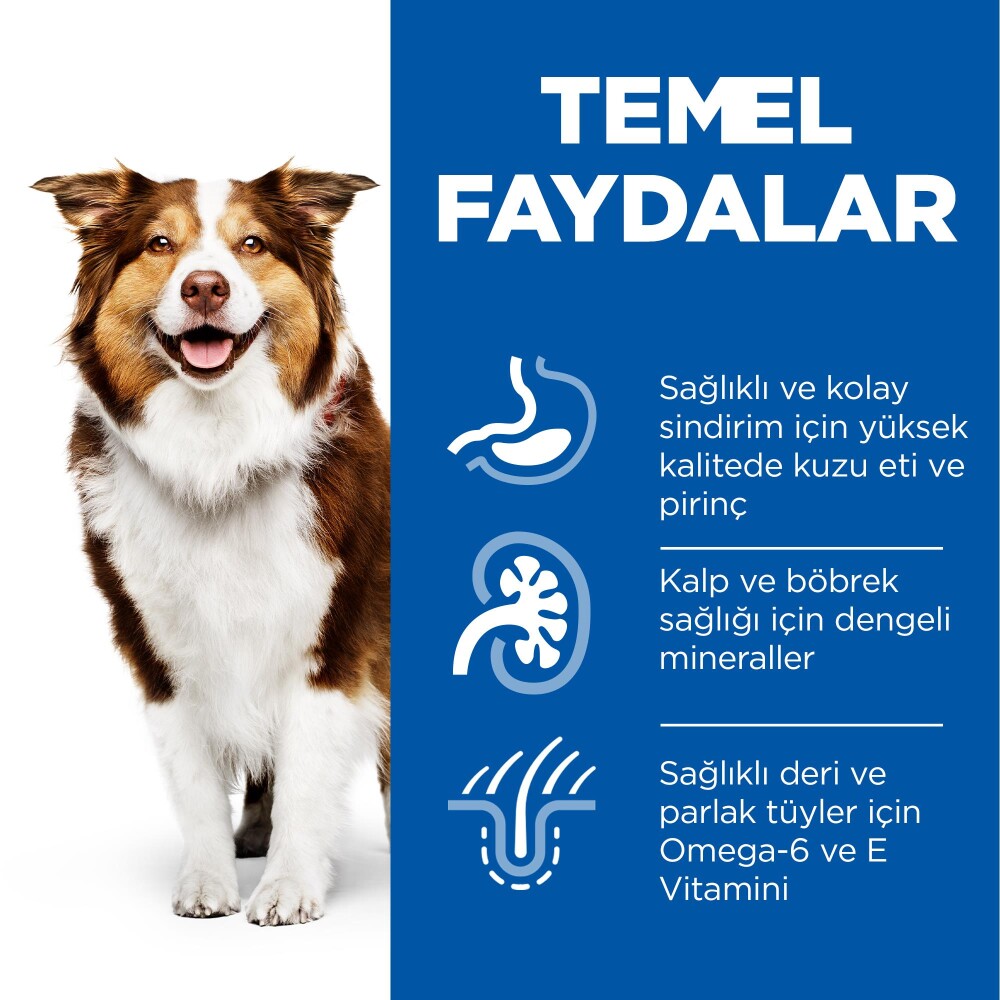 Hill's Science Plan 7 Yaşlı Orta Irk Kuzulu Ve Pirinçli Köpek Maması 12 KG + 2 KG  | SRC: Barcode: 052742026152