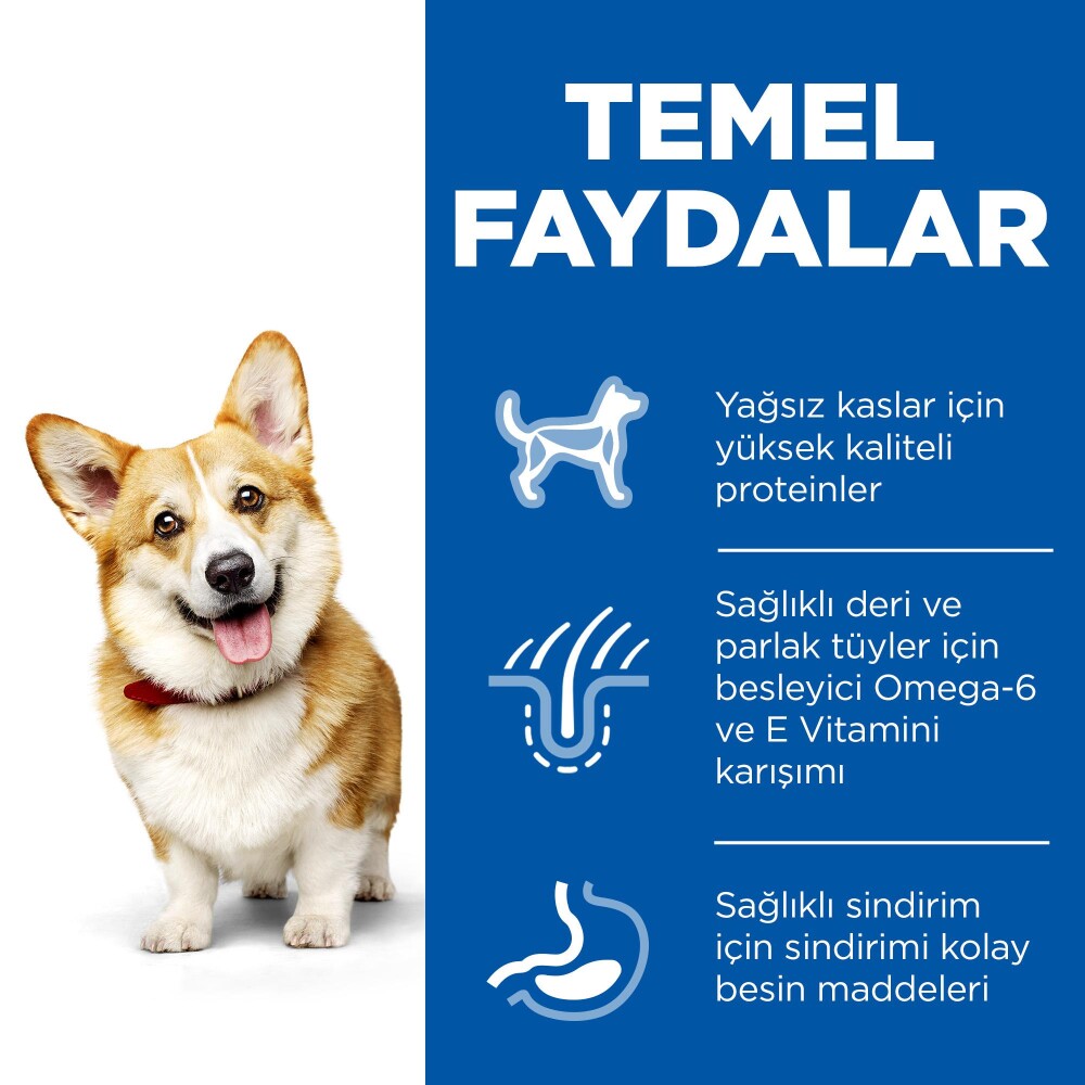 Hill's Science Plan Tavuklu Küçük Ve Mini Irk Yetişkin Köpek Maması 3 KG  | SRC: Barcode: 052742282206