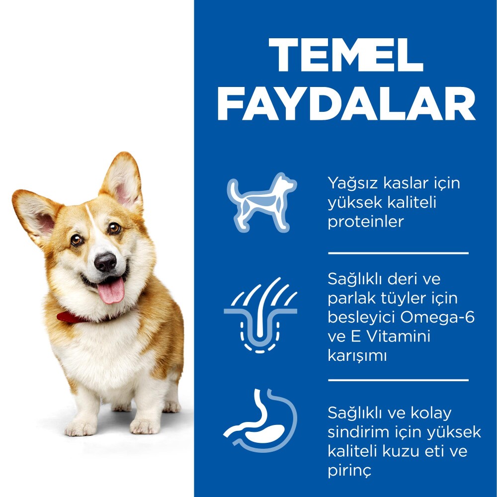Hill's Science Plan Yetişkin Küçük Ve Mini Irk Kuzulu Ve Pirinçli Köpek Maması 1.5 KG  | SRC: Barcode: 052742059471