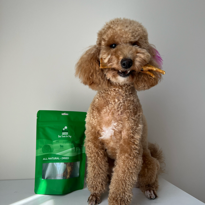 Horoz Ayak Çiğnemelik Köpek Ödül Maması