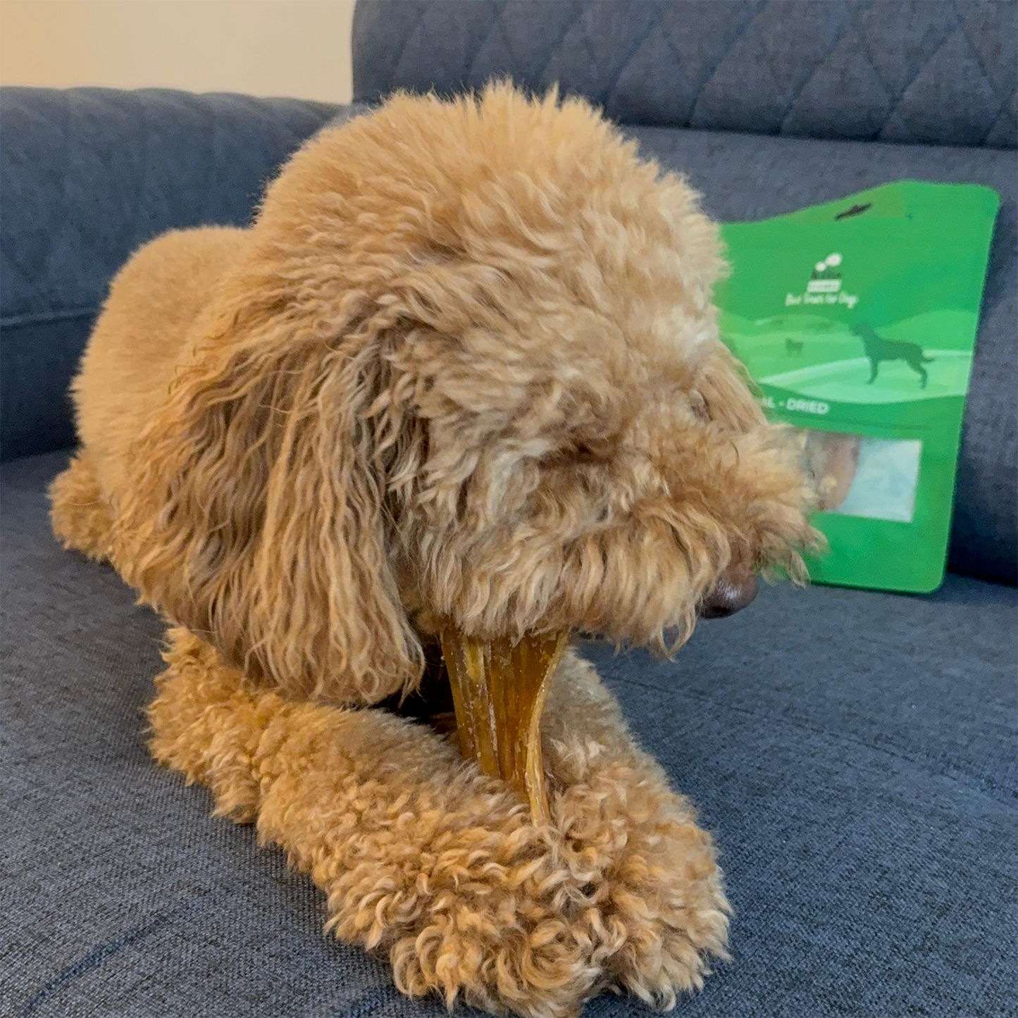 Dana İnce Sinir Ödül Maması