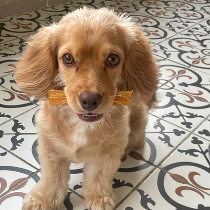 Dana İnce Sinir Ödül Maması