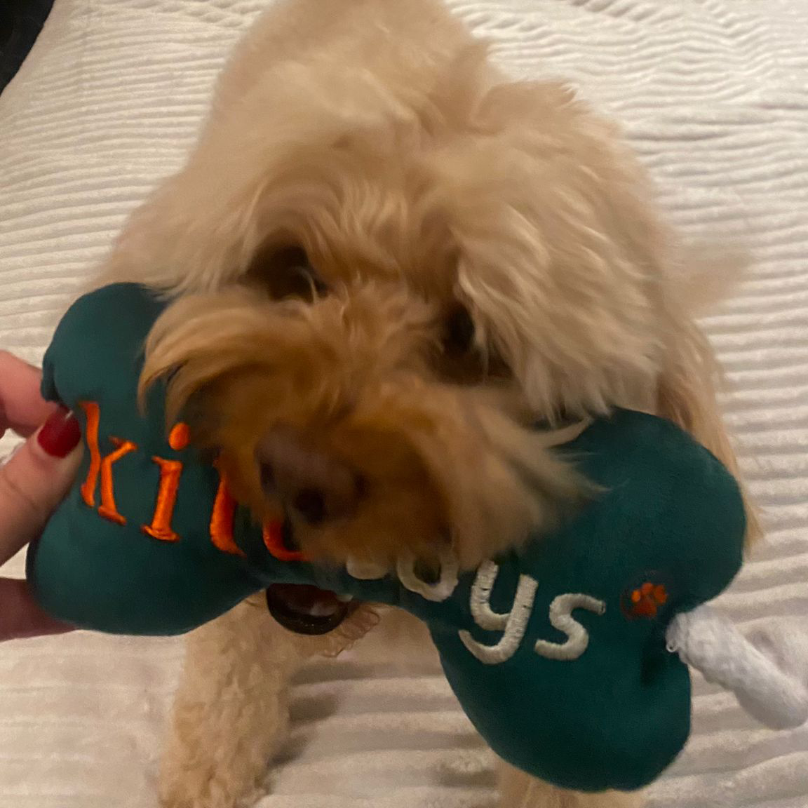 Kemik Peluş Köpek Oyuncağı