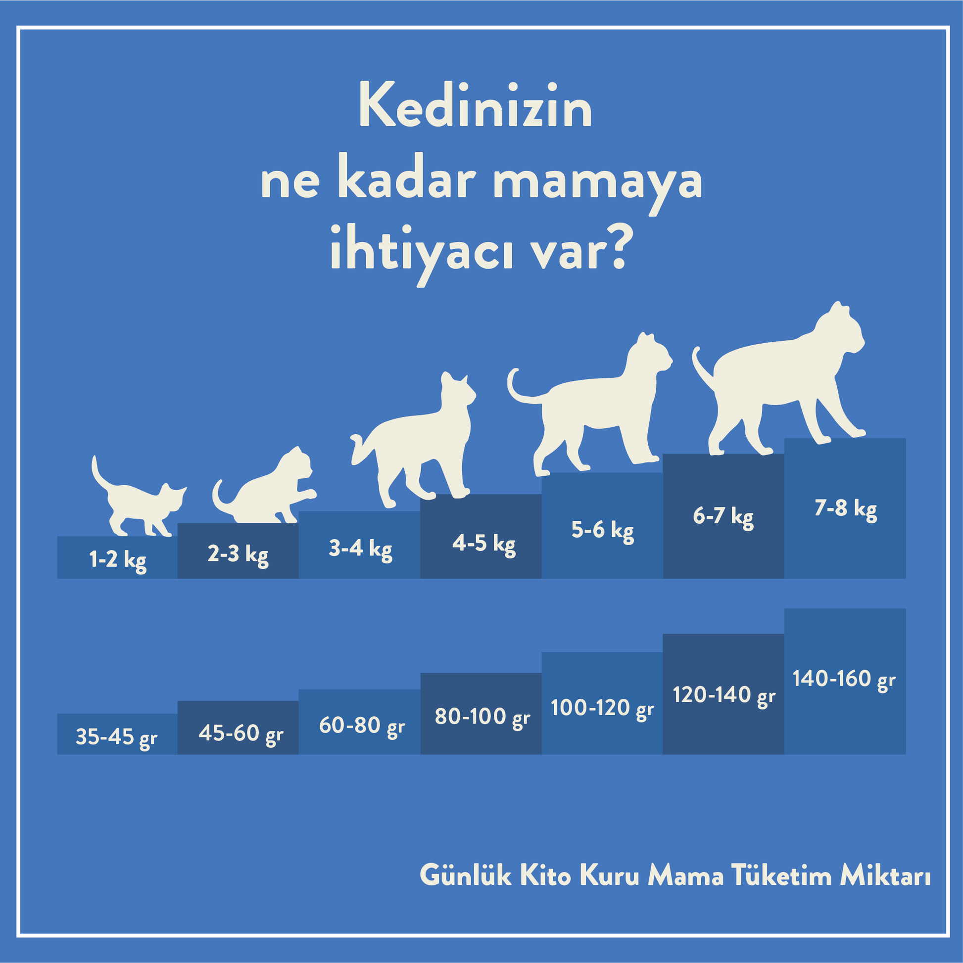 Günlük Kito Kuru Mama Tüketim Miktarı