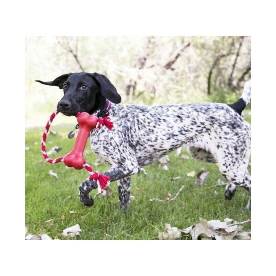 Kong Goodie Bone Kemik Şeklinde İp Sallantılı Çok Amaçlı Köpek Oyuncağı XS  | SRC: Barcode: 0035585131405