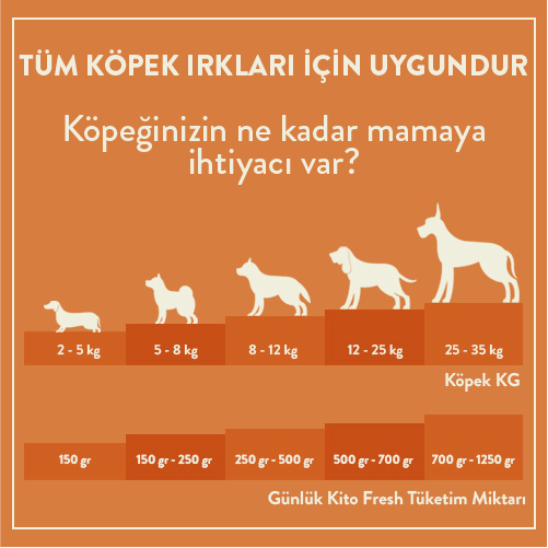 Günlük Kito Fresh Tüketim Miktarı