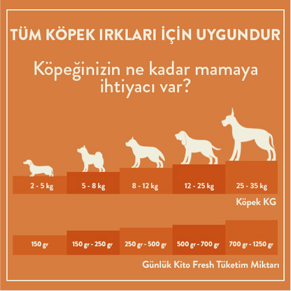 Günlük Kito Fresh Tüketim Miktarı