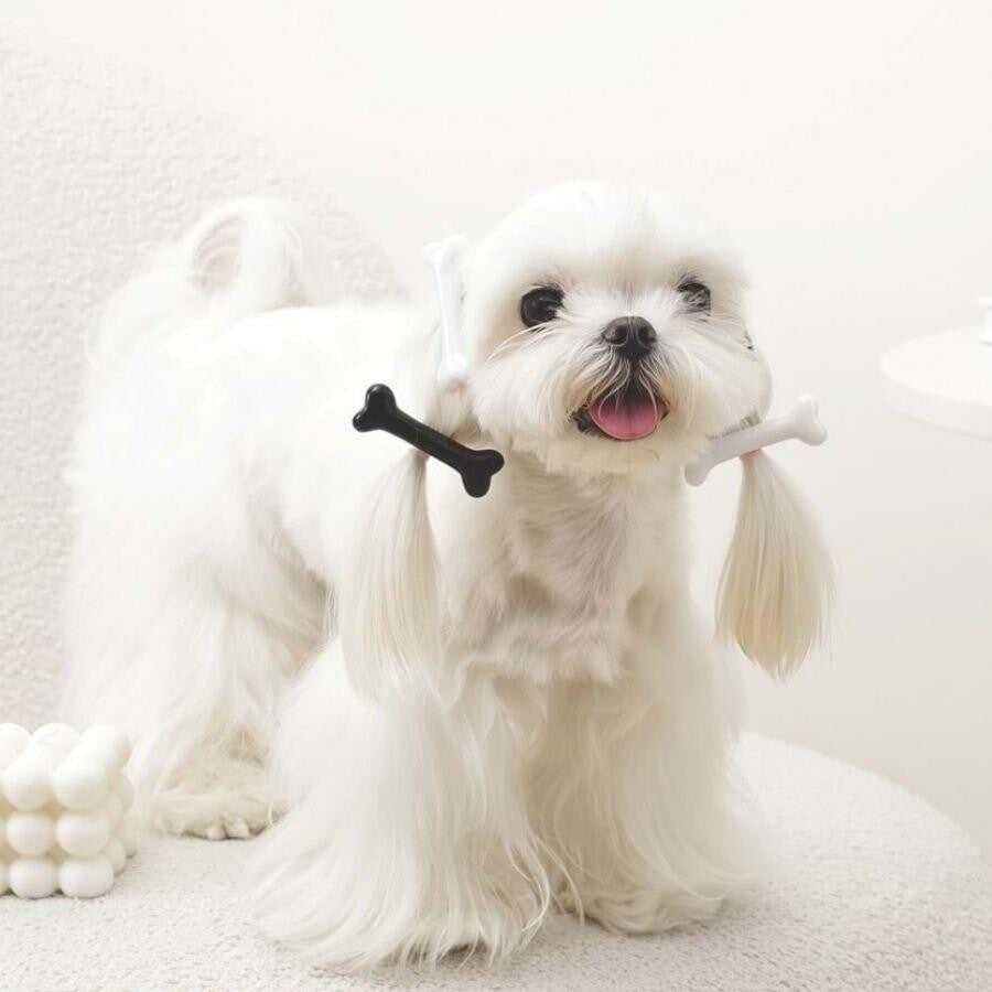 M-pets Glam Kemikli Kedi Ve Köpekler İçin Aksesuar Toka Ve SIYAH BEYAZ  | SRC: Barcode: 6953182769910