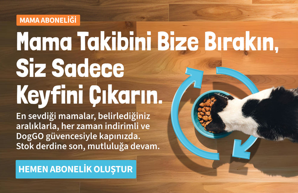 Mama Abonelikleri - DogGO